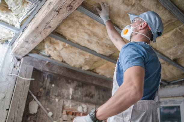 Best Home Insulation Services  in Marion, IL