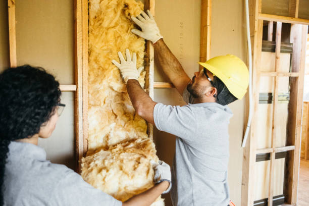 Best Spray Foam Insulation  in Marion, IL