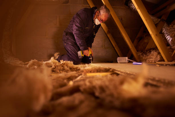 Best Energy-efficient Insulation  in Marion, IL